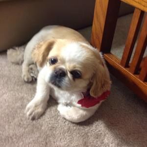 Meet your Posher, Kelly